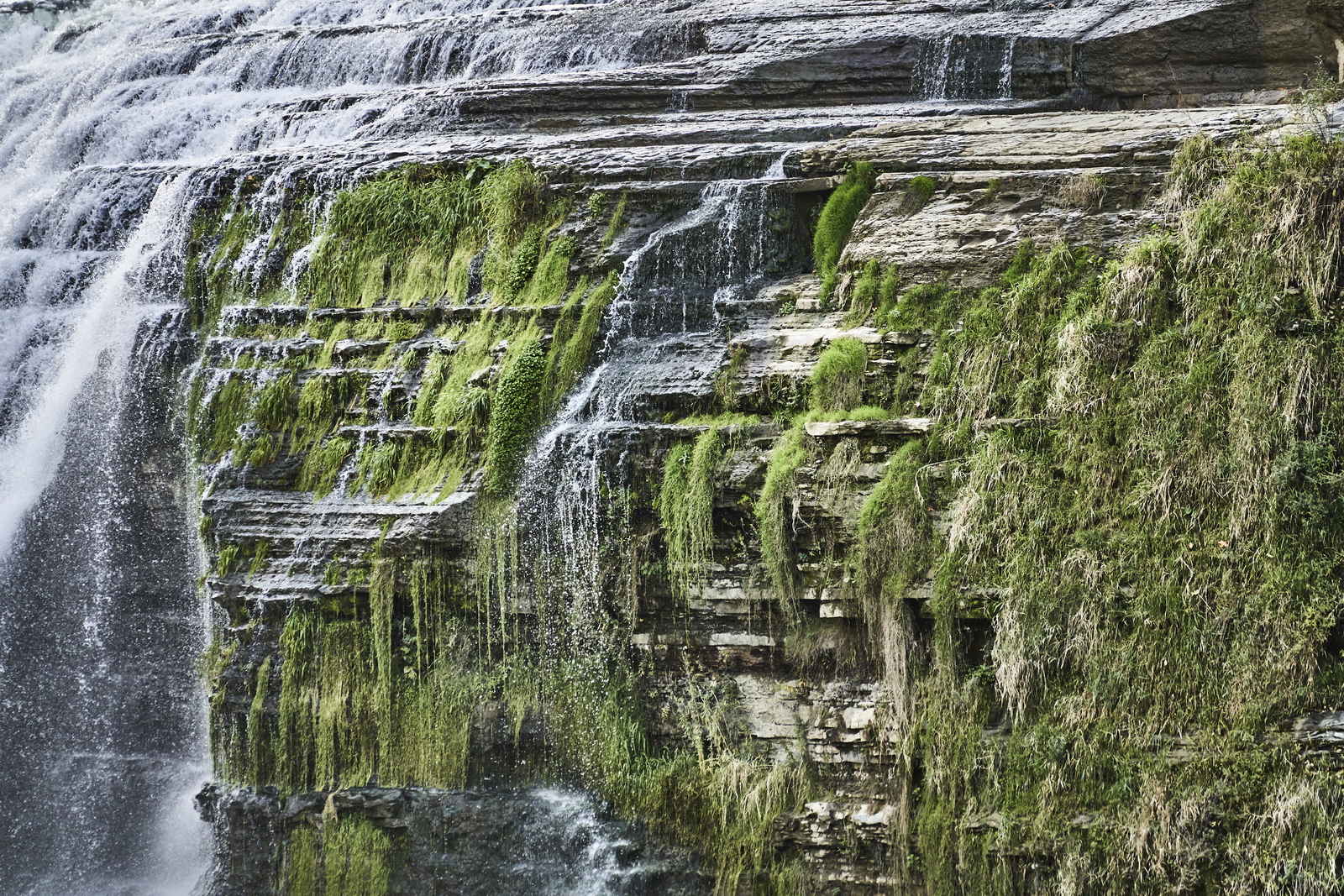 Indian Summer, Letchworth State Park, NY, USA